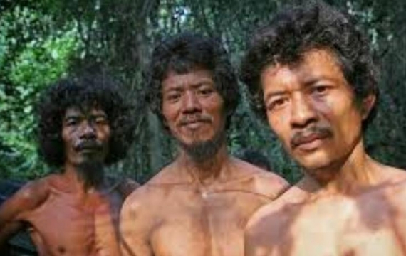 Dengarlah Nyanyian Kematian Talang Mamak 2